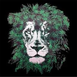 Meet your Posher, El jøhn